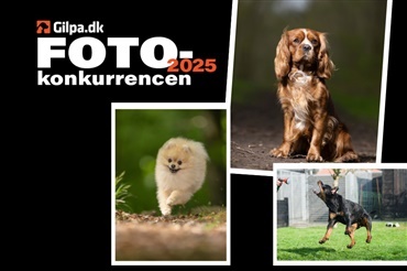 Send os dit bedste foto 