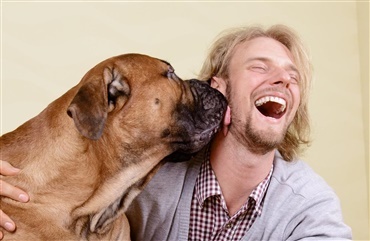 Sp&aelig;ndende artikel: Hvordan t&aelig;mmede mennesket hunden