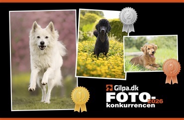 Vinderne af fotokonkurrencen er fundet
