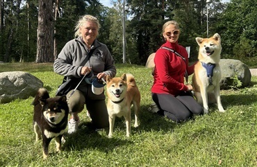 Dansk akita-succes til World Dog Show i Helsinki 