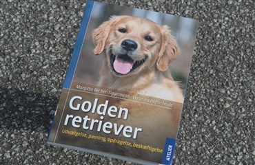 Ny bog om golden retriever