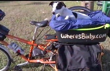Hundeejer cykler gennem USA