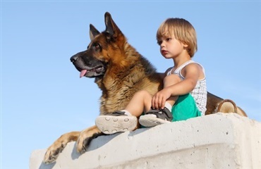 Hundes og børns forhold til voksne