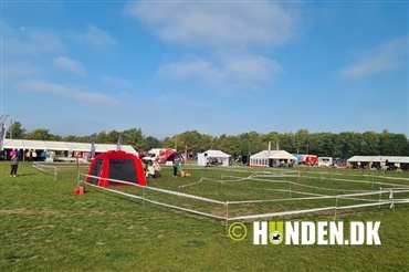 Roskilde: Store Ring er tilbage p&aring; sin vante plads