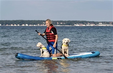 BLOG: SUP med PUP