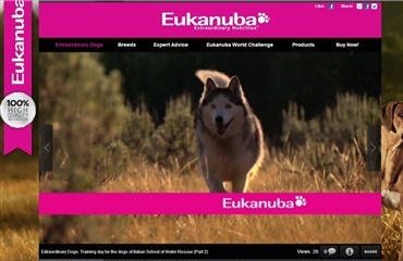 Eukanuba YouTube Channel