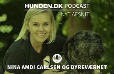Podcast: Nina Amdis liv med hunde