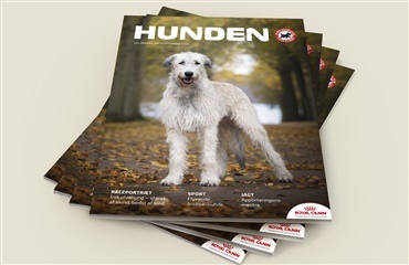 Nyt nummer af HUNDEN er ude nu!
