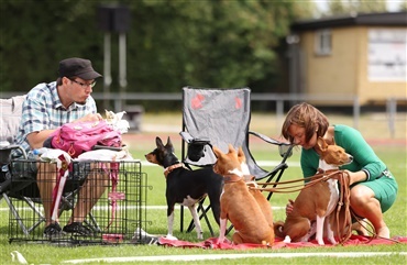 DKK inviterer til hundefest i R&oslash;nne