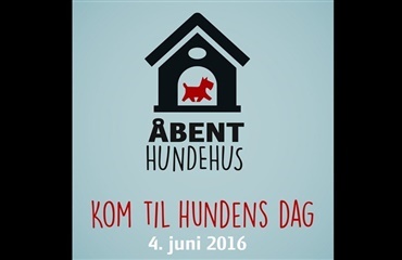 DKK har erklæret lørdag den 4. juni for national ”Hundens dag”