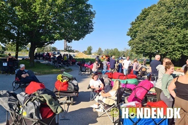 De allerf&oslash;rste i teltk&oslash;en i Roskilde