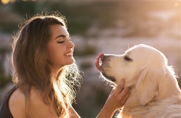 Ny forskning: Hunde ikke interesserede i ansigter
