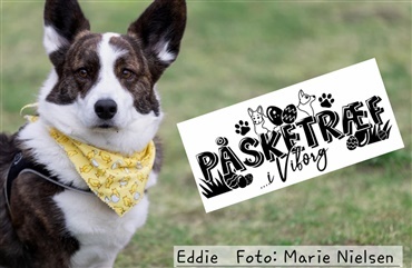 Rekordh&oslash;j opbakning til &aring;rets P&aring;sketr&aelig;f i Viborg