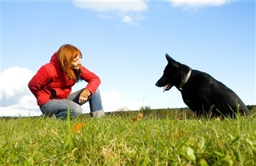 Hundeejerens adf&aelig;rd – hvordan p&aring;virker du din hund? 