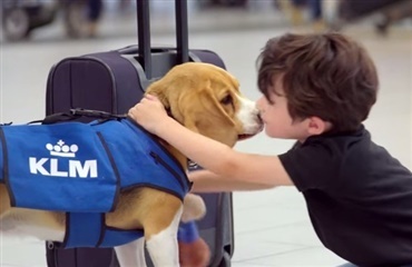 Beagle ansat i lufthavn