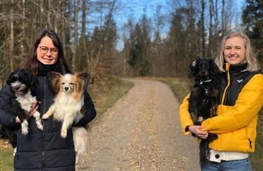 Hunde med Fanconi syndrom (nyrelidelse) s&oslash;ges til veterin&aelig;rt speciale