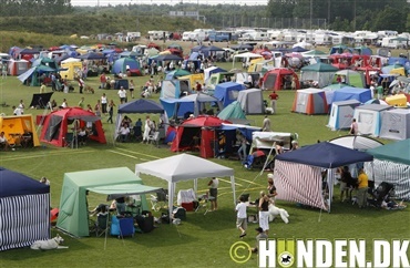 Sidste frist til Roskilde-udstillingen n&aelig;rmer sig