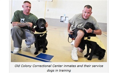 Servicehunde trænes i fængsel
