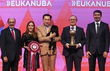 Affenpinscher vandt Eukanuba World Challenge