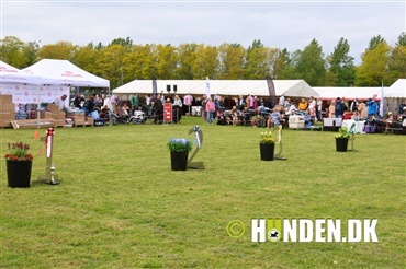 Nu er billederne fra Roskilde online 