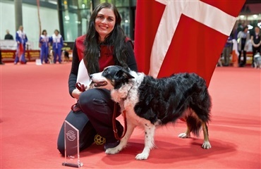Dansk EM-guld og -bronze i Dog Dancing