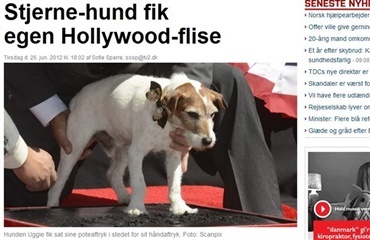 Hund med egen Hollywoodflise