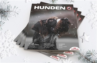 &Aring;rets sidste nummer af HUNDEN er landet