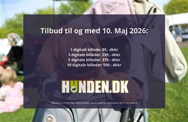 Billederne fra Roskilde er online