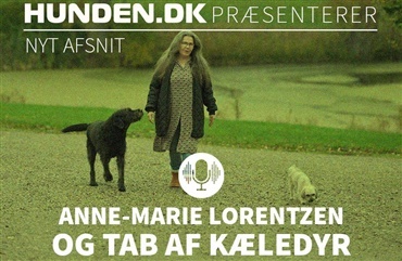 Podcast: Anne-Marie Lorentzen og Tab af K&aelig;ledyr