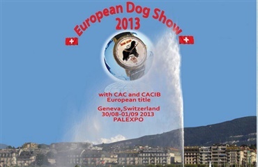 European Dog Show 2013