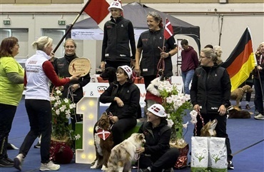 Danmark er verdensmestre i rally