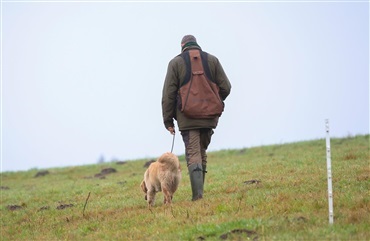 Din kropsholdning taler til hunden