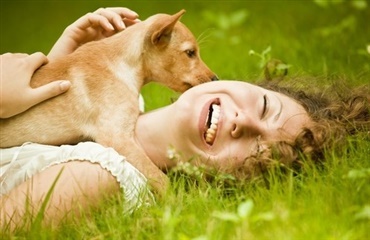 ”Kærlighedshormonet” virker også på hunde