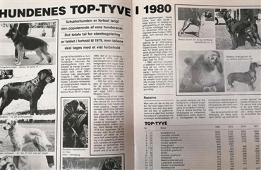 Nostalgi: Top 10 1980