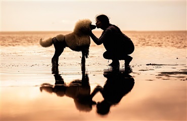 Tak for dig, hund