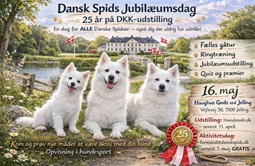 25 &aring;r med udstilling af Dansk Spids