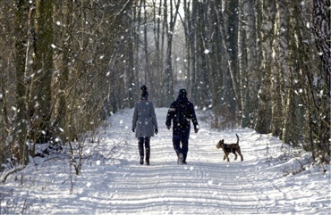 OVERBLIK: S&aring;dan lufter du hunden i kulden