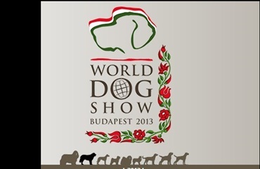 Følg World Dog Show live via hunden.dk