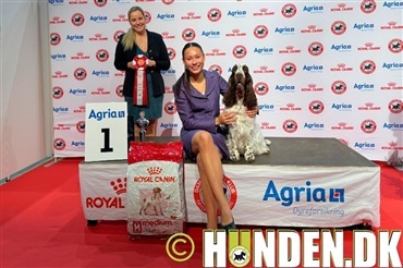 Herning: Simone triumferer i juniorhandlingfinalen