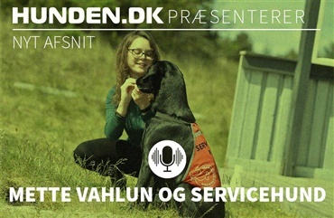 Podcast: Mette Vahlun og servicehunden Agnes