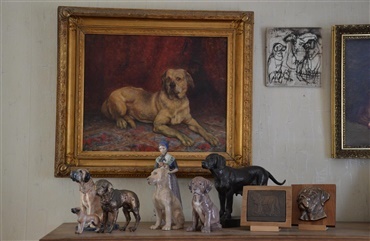 50 &aring;r med Broholmeren: Vejen til den moderne broholmer