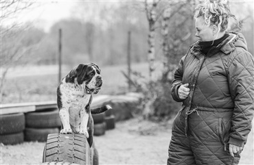 Susan skaber sundhed i Mathiesens HundeFokus