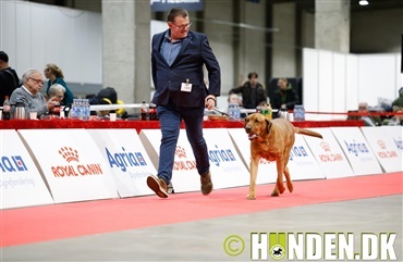 Billeder fra Fredericia: Veteran og opdr&aelig;tsklasser