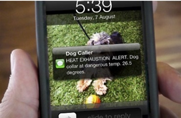 Halsbånd sender sms til ejeren, når hunden bliver for varm