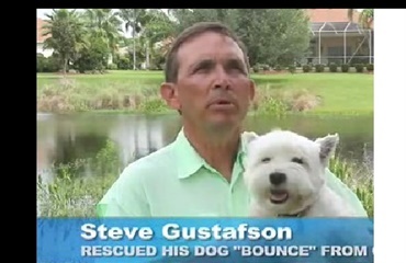 Ejer reddede hund fra alligator