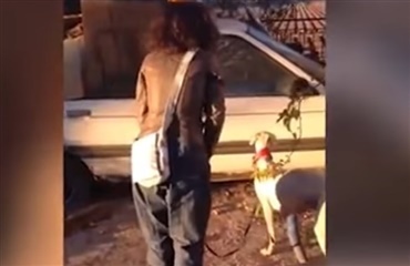 Herreløs hund med alvorlig skade leder spanske dyrlæger til sine hvalpe
