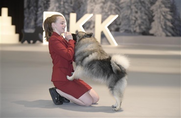 DING, DONG - Welcome to Winter Wonder Show i Herning