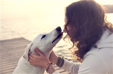 K&aelig;rlighedshormon fremmer relationen mellem hund og ejer