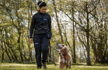 Guide: S&aring;dan f&aring;r du og din hund den bedste tur i hundeskoven