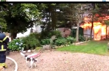 Hunde vækkede ejer af brændende bygning